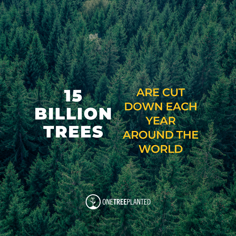 One Tree Planted Tree One Tree Planted counter: – Know The Origin.
